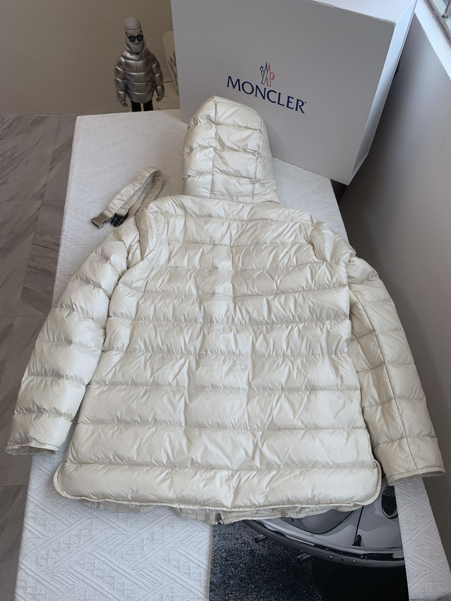 Moncler Down Jackets